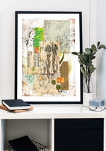 Botanist's Travels III