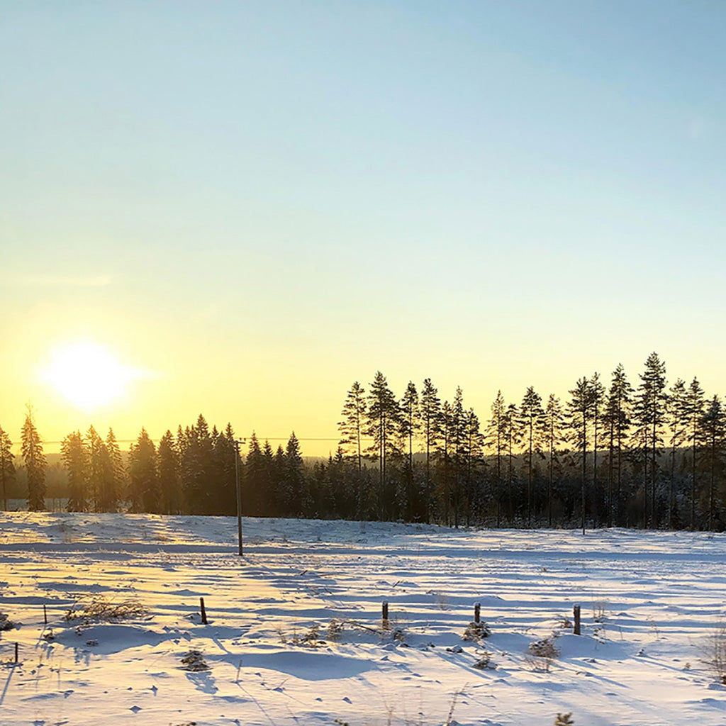 Winter Sunrise