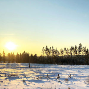 Winter Sunrise