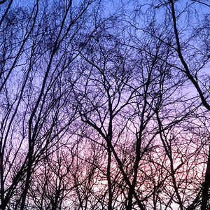 Winter Sunset